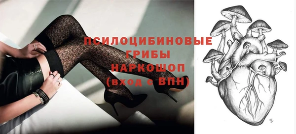 ALPHA PVP Инсар