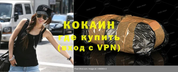 шишки Каменка