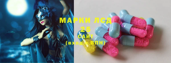шишки Каменка