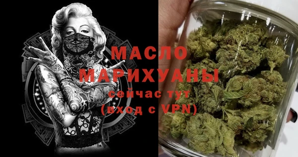 шишки Каменка