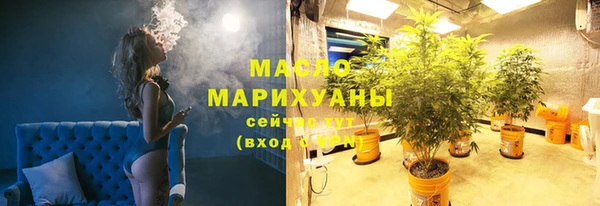 шишки Каменка